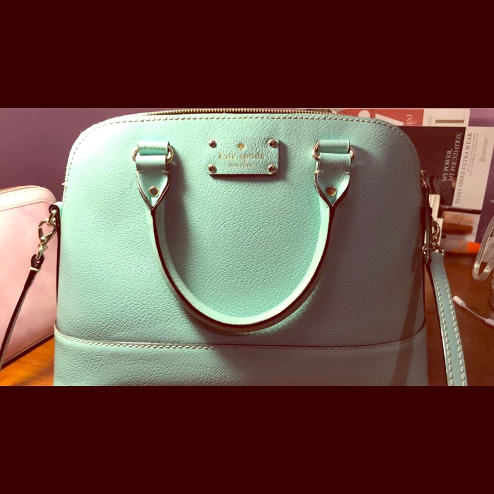 Robbins egg Kate spade bag